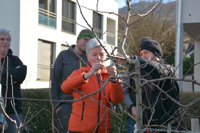 DSC_3575.JPG