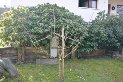 DSC_3607.JPG