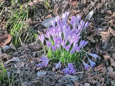 IMG20230219164937.jpg