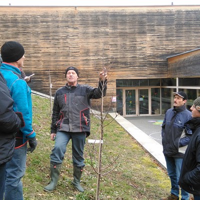 Winter-Obstbaumschnittkurs des OGV Sulz-Röthis am Samstag, den 24.2.2018