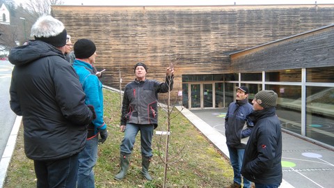 Winter-Obstbaumschnittkurs des OGV Sulz-Röthis am Samstag, den 24.2.2018