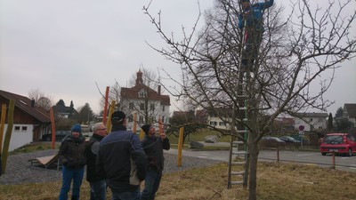 IMG-20180224-WA0004.jpg