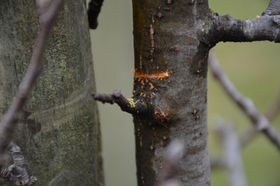 DSC_9566.JPG