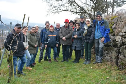 Rebenschnittkurs mit Michael Nachbaur am Sa. 11.3.2023 beim Weingut Nachbaur in Röthis