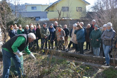 Rosenschnittkurs mit Rudi Waibel am Samstag, den 4. März 2023 beim Freihof in Sulz