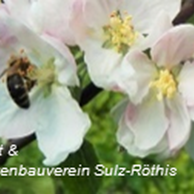 Ausflug zur Insel Reichenau und Nonnenhorn, am Sa. 6.5.2017 - Ausgebucht!