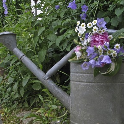 Garta tuat guat - Gesundes, Erholung und Natur im eigenen Garten