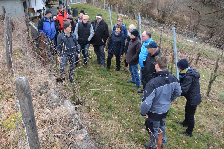 Weingut Nachbaur