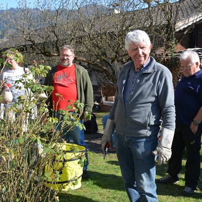 Rosenpflege nach der Blüte mit Rudi Waibel