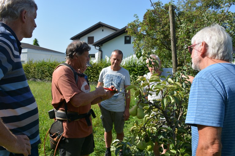 Baumschnittkurs