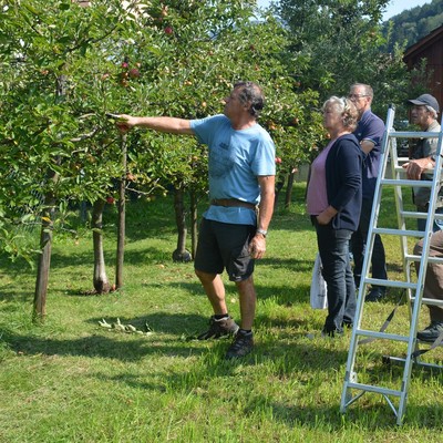 Sommer-Obstbaumschnitt mit Lothar Lins