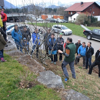Winter-Obstbaumschnittkurs
