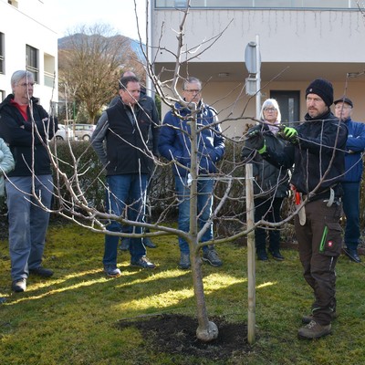Winter-Obstbaumschnittkurs