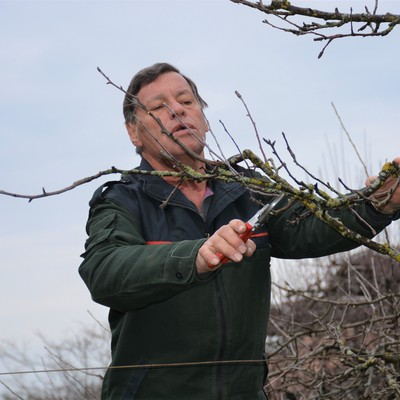 Winter-Obstbaumschnittkurs mit Lothar Lins