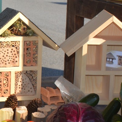 Wir bauen ein Insektenhotel für Wildbienen