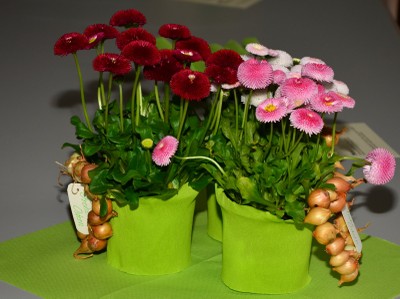 01-Jahreshauptversammlung  08042022.1.JPG