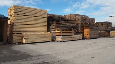 WELTE Holz