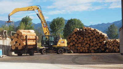 WELTE Holz