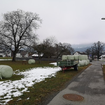 Lagerung von Siloballen im Gemeindegebiet