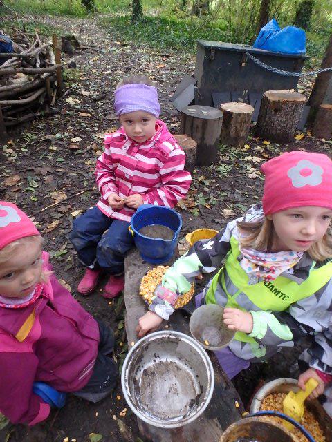 042.JPG