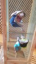 20180605_104722.jpg