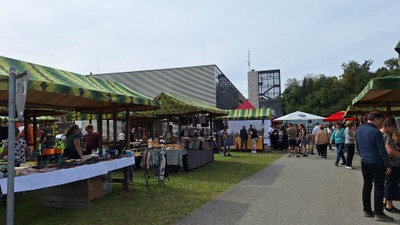 20240922_SulnerKilbi (10).jpg