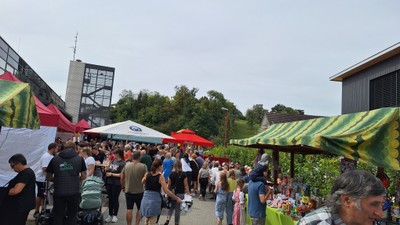 20240922_SulnerKilbi (11).jpg