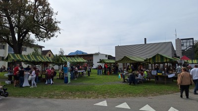 20240922_SulnerKilbi (9).jpg