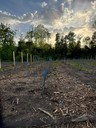20250502_BiotopexkursionWanderwegeFrutz_Sulz (17).jpg