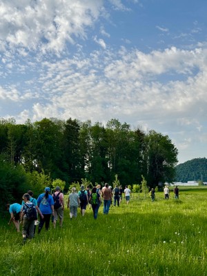 20250502_BiotopexkursionWanderwegeFrutz_Sulz (18).jpg