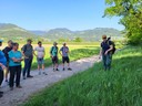 20250502_BiotopexkursionWanderwegeFrutz_Sulz (2).jpg