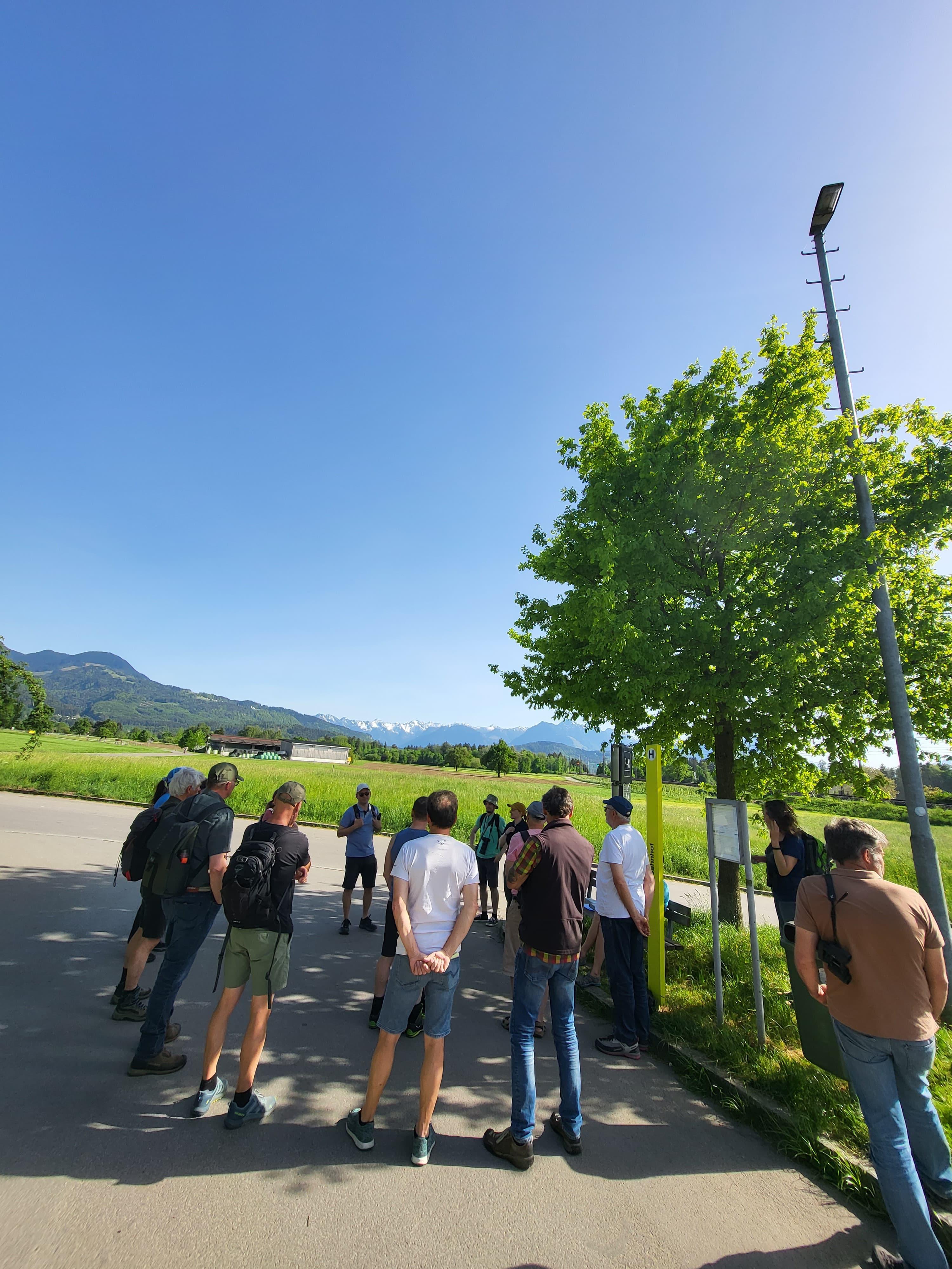 20250502_BiotopexkursionWanderwegeFrutz_Sulz (4).jpg