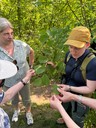 20250502_BiotopexkursionWanderwegeFrutz_Sulz (6).jpg