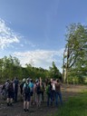 20250502_BiotopexkursionWanderwegeFrutz_Sulz (8).jpg