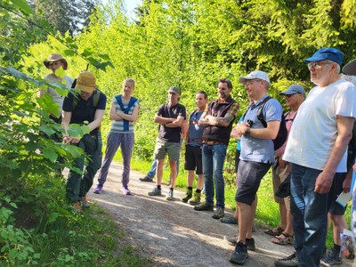 20250502_BiotopexkursionWanderwegeFrutz_Sulz (9).jpg