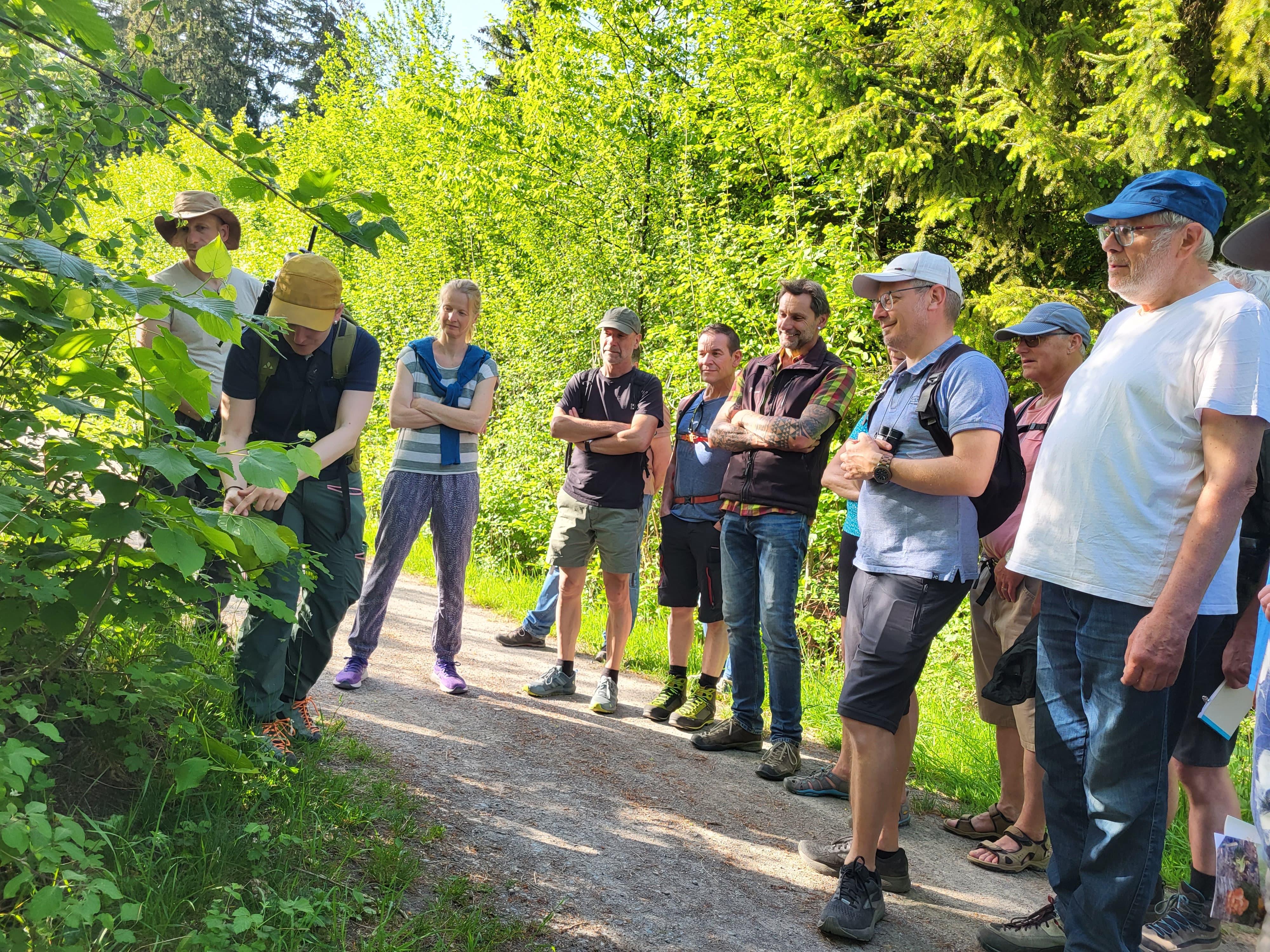20250502_BiotopexkursionWanderwegeFrutz_Sulz (9).jpg