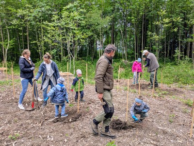 20250509_Waldzeit (16).jpg
