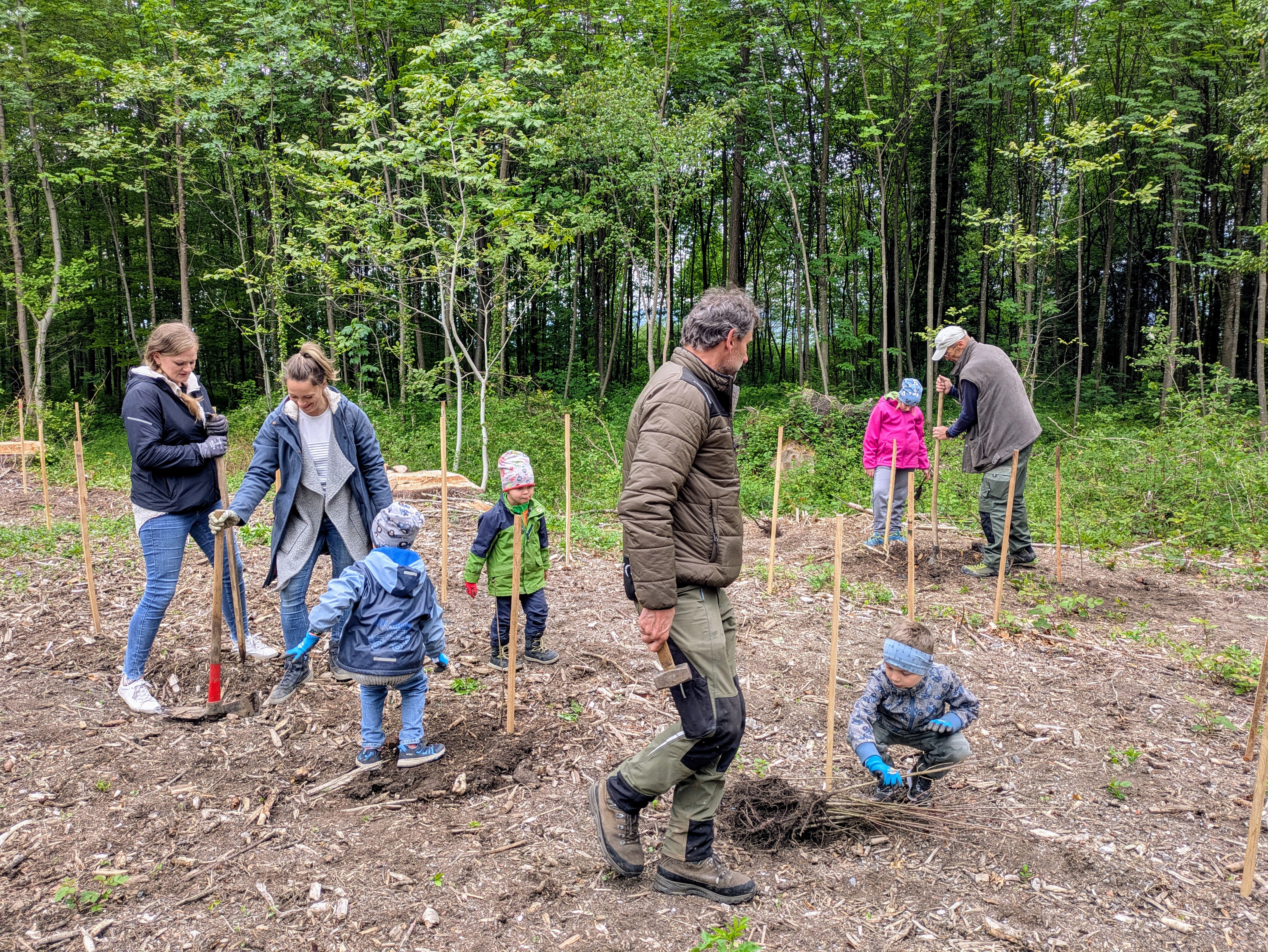 20250509_Waldzeit (16).jpg