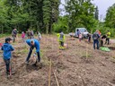 20250509_Waldzeit (20).jpg