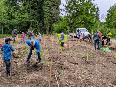 20250509_Waldzeit (20).jpg