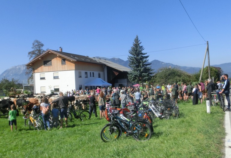 Alpabtrieb 2019_13.jpg