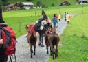 Alpwoche 10.jpg