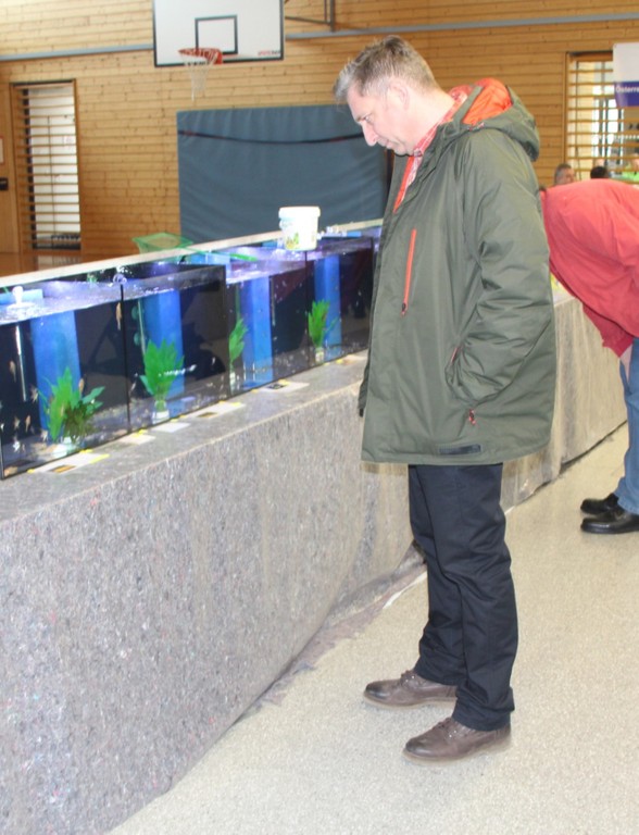 Aquarienbörse 2018 E.jpg