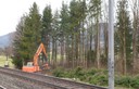Auwald Bahntrasse 02.jpg