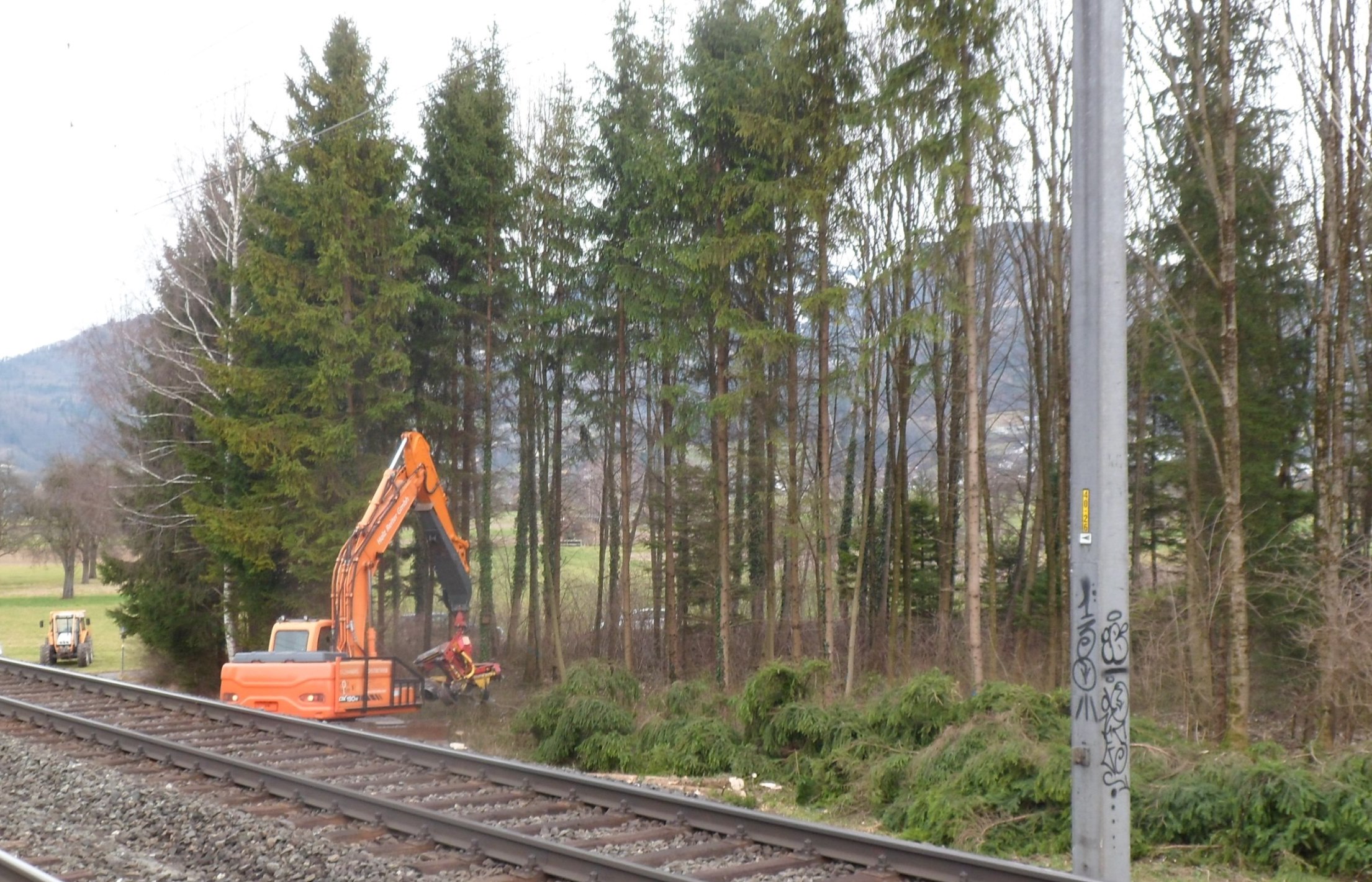 Auwald Bahntrasse 02.jpg