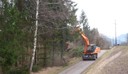 Auwald Bahntrasse 03.jpg