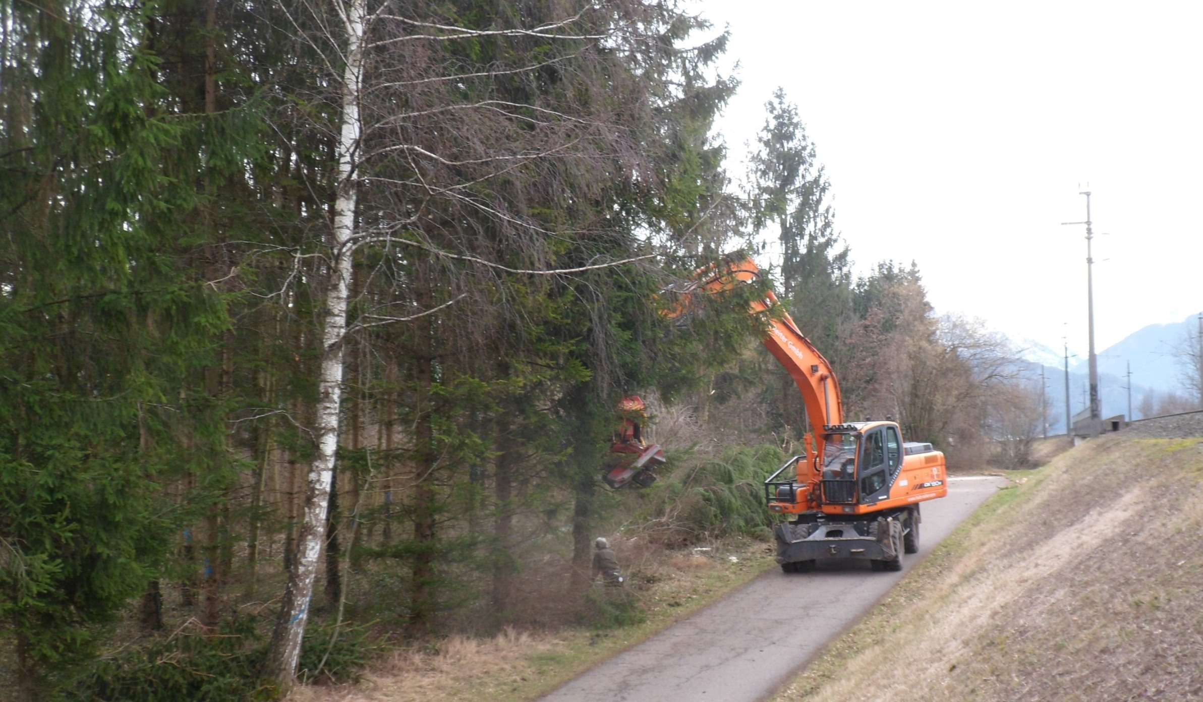 Auwald Bahntrasse 03.jpg