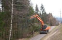 Auwald Bahntrasse 04.jpg