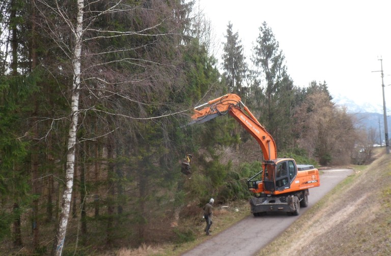 Auwald Bahntrasse 04.jpg