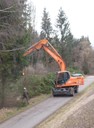 Auwald Bahntrasse 05.jpg